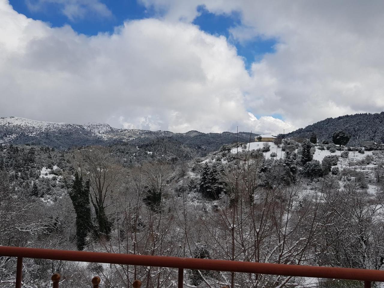 Petra & Elato Art Hotel Valtessiniko Dış mekan fotoğraf